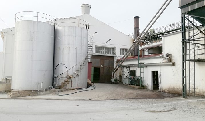 Una cooperativa de aceite de oliva
