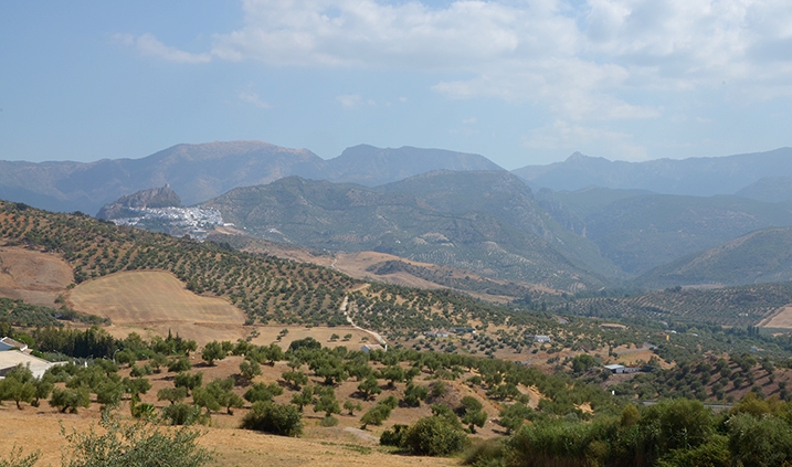 Sierra de Grazalema