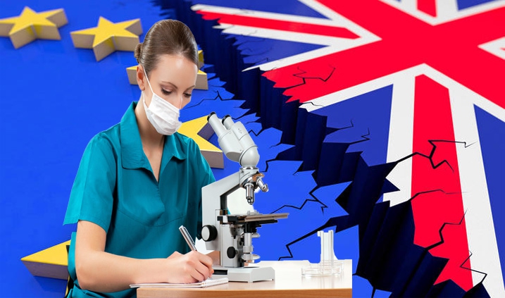 Efecto del brexit en la investigación de las abejas