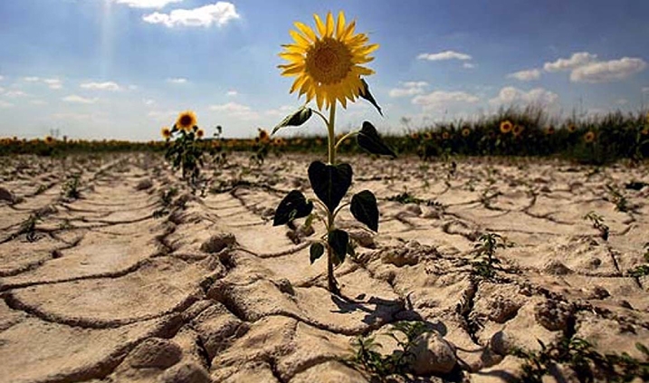 efectos del cambio climático
