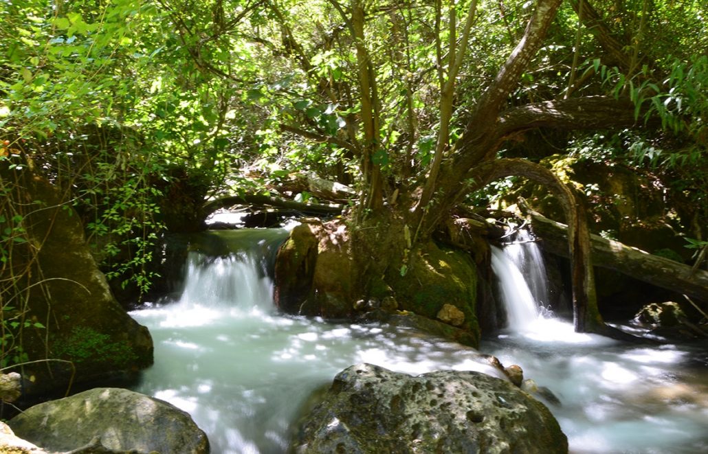 rio de la Sierra de Grazalema