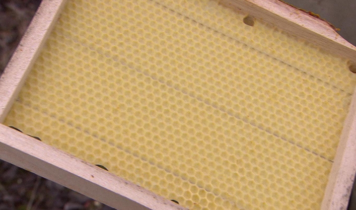 panal de cera de abeja