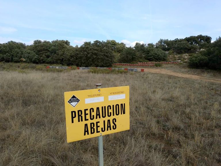 cartel de cuidado abejas