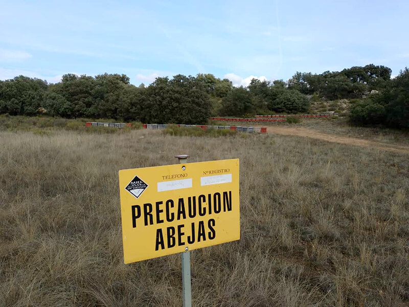cartel de cuidado abejas