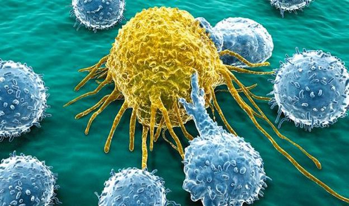 célula cancerígena