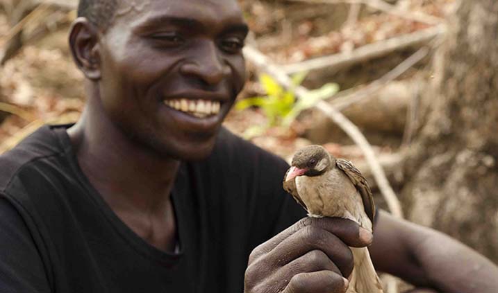Mutualismos entre el hombre y la naturaleza