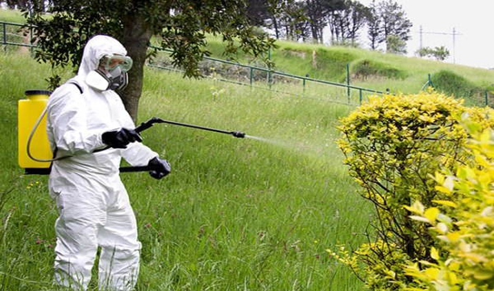 fumigación de plantas