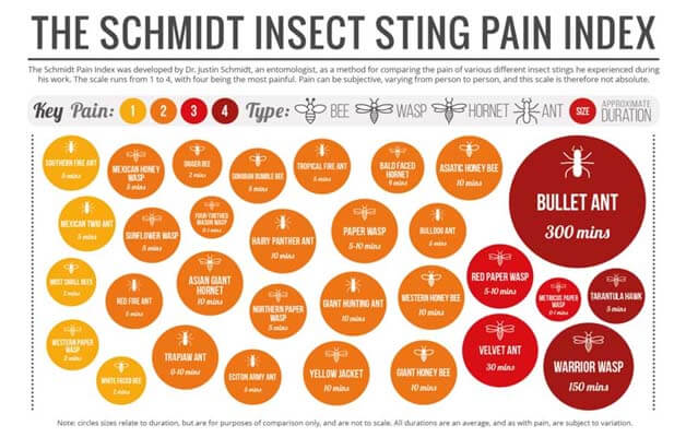 Escala de schmidt del dolor de las picaduras de insectos